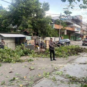 Sat Samapta Polres Bima Kota Tindaklanjuti Laporan Warga Terkait Pohon Tumbang di Kelurahan Sarae