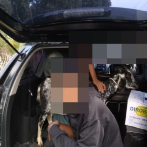 Polsek Wera Polres Bima Kota Amankan Dua Remaja Terduga Pelaku Pencurian Ternak