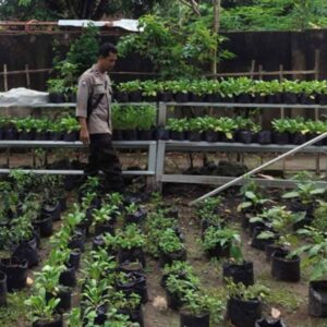 Polsek Labuapi Dorong Ketahanan Pangan di Desa Bengkel