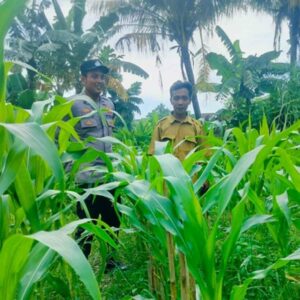 Polsek Labuapi Dorong Kemandirian Pangan di Desa Bajur