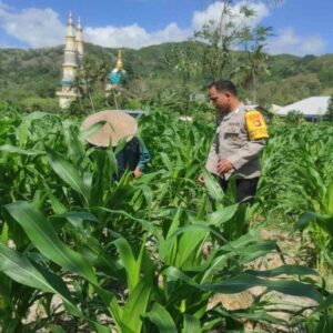 Polsek Gerung Kawal Ketahanan Pangan di Suka Makmur
