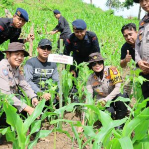 Perkuat Ekologi dan Ekonomi, Forkopimda Sumbawa Tanam Ribuan Bibit Kemiri di Lenangguar