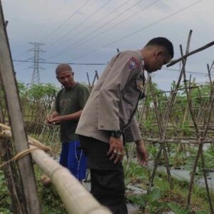 Bhabinkamtibmas Kuranji Dalang Edukasi Pertanian Warga