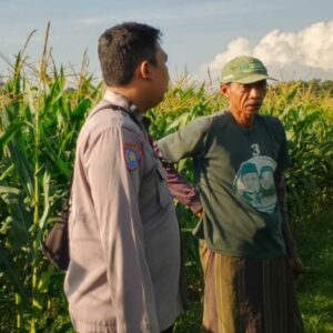 Bhabinkamtibmas Edukasi Warga Telagawaru Tanam Pangan Mandiri
