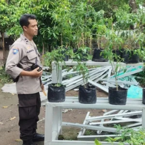 Bhabinkamtibmas Labuapi Edukasi Warga Kelola Pekarangan Bergizi