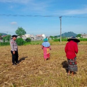 Bhabinkamtibmas Karang Bongkot Edukasi Metode TOT ke Petani