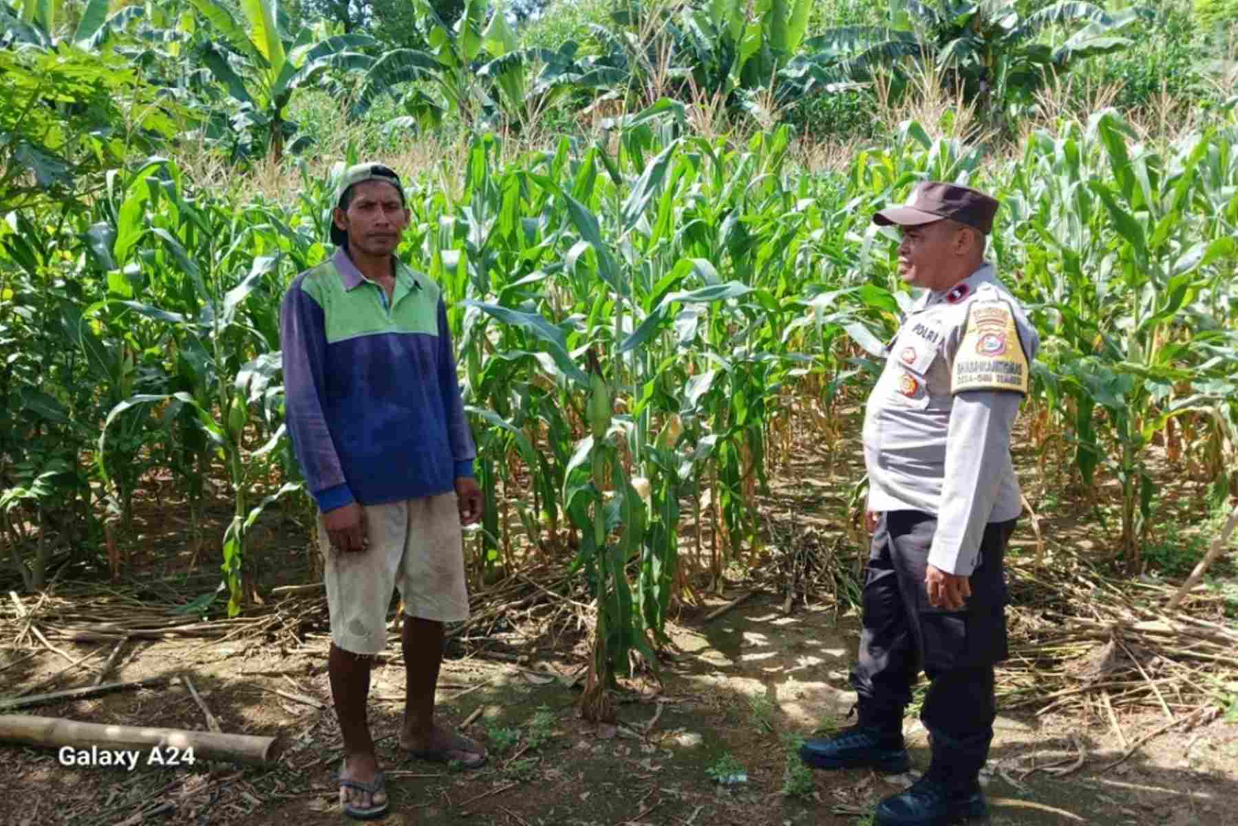 Polsek Gerung Dorong Pemanfaatan Lahan Pekarangan di Giri Tembesi