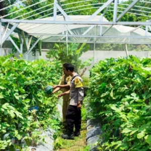 Warga Desa Bengkel Sulap Lahan Kosong Jadi Pekarangan Bergizi