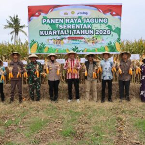 Wujudkan Swasembada Pangan, Kapolres Sumbawa Gelar Panen Raya Jagung Serentak Kuartal I Tahun 2026