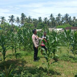 Polsek Sekotong Kawal Ketahanan Pangan di Desa Sekotong Barat