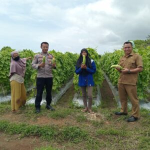 Dukung Ketahanan Pangan, Bhabinkamtibmas Desa Tatar Tinjau Pemanpaatan Lahan Produktif Warga bersama Pemerintah Desa