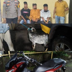 Nyolong Satu Ekor Kambing, Tiga Pria Asal Desa Tonda ini Diamankan Polsek Madapangga