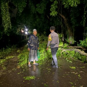 Bhabinkamtibmas Desa Pasir Putih Cek Rumah Warga Terdampak Pohon Tumbang Akibat Cuaca Ekstrem