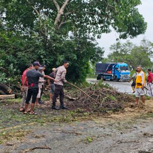 Pastikan Jalur Utama Aman, Polsek Buer Pimpin Evakuasi Pohon Tumbang di Desa Tarusa