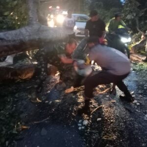Polsek Asakota Polres Bima Kota Bersama Warga Lakukan Pembersihan Pohon Tumbang di Jalan Lintas Wera – Bima