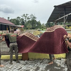 Satgas Damai Cartenz 2026 Perkuat Toleransi dengan Pembersihan Masjid An-Nur Mile 32