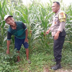 Polres Lombok Barat Kawal Program Swasembada Pangan di Labuapi