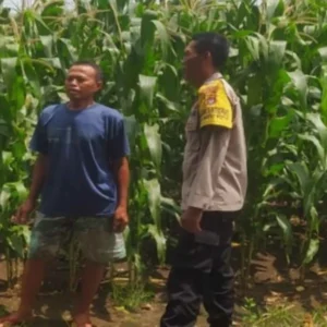 Polsek Sekotong Kawal Ketahanan Pangan di Desa Batu Putih