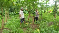 inergi Polri dan Petani dalam Pemanfaatan Lahan Kosong NTB