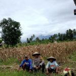 Dukung Program Ketahanan Pangan, Bhabinkamtibmas  Desa Apitaik Silaturrahmi Dengan Petani