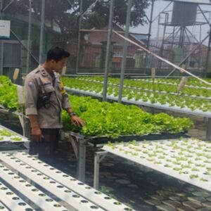 Polsek Labuapi Dorong Warga Optimalkan Lahan Sisa Jadi Zona Hijau