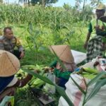 Polsek Labuapi Perkuat Ketahanan Pangan di Desa Bagik Polak