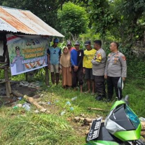 Polsubsektor Palibelo,Monitoring Pertumbuhan Jagung, Para Petani Keluhkan Batang Jagung Membusuk Akibat Tingginya Curah Hujan