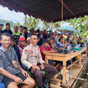 Pengamanan Kegiatan Karapan Kerbau Desa Bangkat Munteh Berjalan Aman dan Kondusif