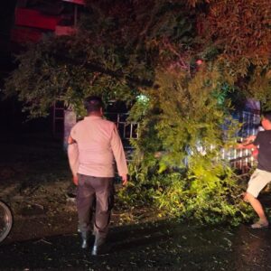 “Quick Response”Polsek Woha Evakuasi Pohon Tumbang di Jalan Lintas Bima-Tente”