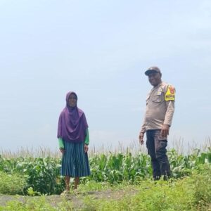Bhabinkamtibmas Polsek Pekat Pantau Lahan Jagung Warga di Soritatanga, Dukung Ketahanan Pangan Menuju Indonesia Emas 2045