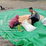 Pantau Lahan Jagung Warga, Bhabinkamtibmas turun lapangan guna dukung Program Ketahanan Pangan Nasional Menuju Indonesia Emas 2045