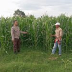 Sinergi Polri dan Petani, Wujud Nyata Ketahanan Pangan di Kecamatan Kempo