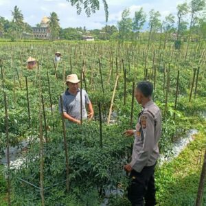 Sinergi Polri dan TNI, Aiptu Azhari dan Sertu Ruslan Haryadi Sambangi Ketua Gapoktan Rarang Selatan