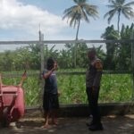 Polri Kawal Swasembada Pangan di Desa Kuranji