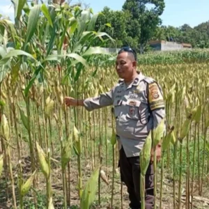 Polisi Dorong Kemandirian Pangan di Lombok Barat