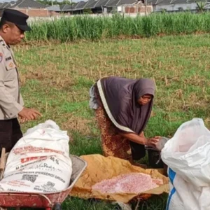Polsek Labuapi Kawal Ketahanan Pangan di Karang Bongkot
