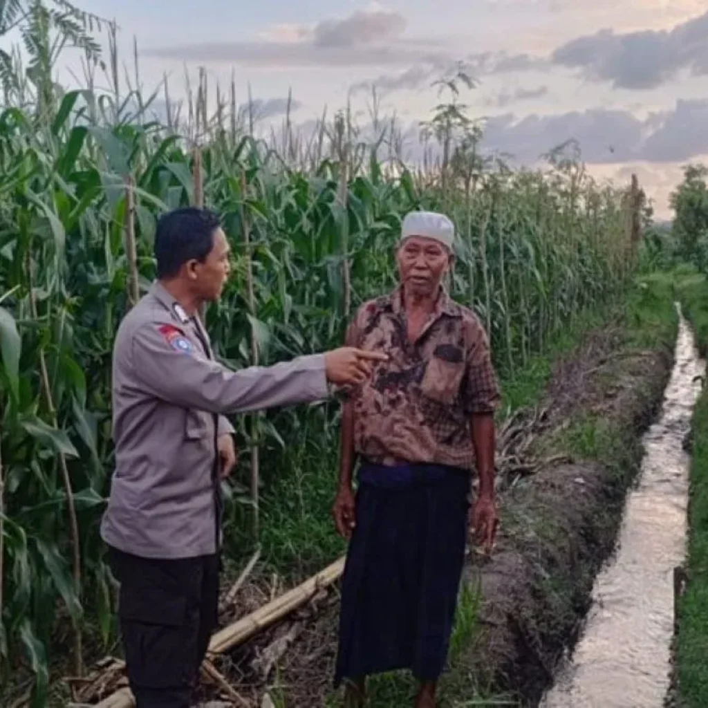 Upaya memperkuat kedaulatan pangan nasional kini semakin masif dilakukan hingga ke tingkat akar rumput. Di Kabupaten Lombok Barat, komitmen ini diwujudkan melalui aksi nyata aparat kepolisian yang terjun langsung ke tengah masyarakat produktif. Langkah ini bukan sekadar menjalankan fungsi pengamanan, melainkan juga peran aktif sebagai fasilitator dan motivator bagi para petani serta peternak lokal. Atmosfer produktivitas menyelimuti Dusun Lemokek Lauk, Desa Babussalam. Kehadiran personel Bhabinkamtibmas Desa Babussalam, Bripka Ketut Sanjaya, di tengah lahan pertanian warga menjadi bukti bahwa Polri hadir sebagai mitra strategis masyarakat. Kegiatan sambang desa dan silaturahmi ini dirancang untuk memastikan stabilitas keamanan sekaligus mendorong kemandirian ekonomi warga melalui sektor agraris. Pendampingan Teknis dan Distribusi Benih Unggul Bripka Ketut Sanjaya tidak hanya datang untuk memantau situasi keamanan dan ketertiban masyarakat (kamtibmas), tetapi juga terlibat langsung dalam aktivitas teknis di lapangan. Berdasarkan pantauan di lokasi, ia tampak mendampingi para petani yang sedang sibuk menyiapkan lahan. Salah satu fokus perhatiannya adalah penggunaan media mulsa alami, sebuah teknik konservasi tanah yang sangat efektif untuk menjaga kelembapan dan kesuburan lahan sebelum memasuki masa tanam. Selain memberikan arahan teknis mengenai persiapan lahan yang optimal, kepolisian juga memberikan dukungan konkret berupa pemberian bantuan paket benih jagung unggul. Bantuan ini diserahkan langsung kepada warga sebagai stimulus agar mereka lebih bersemangat dalam memperluas cakupan lahan produktif. Dengan adanya benih berkualitas, diharapkan hasil panen mendatang dapat meningkat secara signifikan, yang pada gilirannya akan memperkuat stok pangan di tingkat desa. Kapolres Lombok Barat, Polda NTB, AKBP Yasmara Harahap, S.I.K., M.Si., melalui Kapolsek Gerung, AKP Lale Dewi Lungit Tanauran, menegaskan bahwa peran Bhabinkamtibmas saat ini telah bertransformasi untuk mendukung program strategis pemerintah. Pihaknya ingin memastikan bahwa kehadiran polisi di desa memberikan dampak ekonomi yang nyata bagi masyarakat binaan. "Kami menginstruksikan seluruh jajaran Bhabinkamtibmas untuk terus bersinergi dengan warga, khususnya di sektor pertanian dan peternakan. Kami ingin Polri hadir bukan hanya untuk menjaga keamanan, tetapi juga menjadi penggerak ketahanan pangan nasional. Melalui pendampingan ini, diharapkan masyarakat merasa didukung dalam mengelola sumber daya alam yang mereka miliki," ujar AKP Lale Dewi Lungit Tanauran dalam keterangannya. Mengoptimalkan Lahan Pekarangan untuk Kemandirian Keluarga Selain fokus pada lahan pertanian luas, pihak kepolisian juga memberikan edukasi mengenai pemanfaatan lahan sempit di sekitar tempat tinggal. Dalam interaksi yang berlangsung hangat dan humanis, Bripka Ketut Sanjaya mengajak warga untuk lebih kreatif dalam mengelola pekarangan rumah mereka. Menurutnya, lahan pekarangan memiliki potensi besar jika ditanami dengan berbagai komoditas pangan bergizi seperti sayur-mayur atau tanaman obat keluarga (TOGA). Upaya ini ditekankan sebagai langkah strategis untuk memenuhi kebutuhan pangan rumah tangga secara mandiri. Dengan memanfaatkan setiap jengkal tanah yang ada, warga diharapkan tidak lagi bergantung sepenuhnya pada pasar untuk memenuhi kebutuhan dapur sehari-hari. Hal ini dianggap sebagai solusi cerdas dalam menghadapi fluktuasi harga pangan yang seringkali membebani ekonomi keluarga. Komitmen Berkelanjutan untuk Kedaulatan Pangan Kegiatan sambang di Dusun Lemokek Lauk ini merupakan bagian dari komitmen berkelanjutan Polres Lombok Barat dalam mengawal stabilitas ekonomi dari level terbawah. Koordinasi yang intensif antara petugas dan warga menjadi kunci utama dalam menjaga semangat produktivitas. Selain memberikan motivasi di bidang pertanian, kepolisian juga menitipkan pesan agar para peternak lokal tetap konsisten dalam merawat hewan ternak mereka, mengingat sektor peternakan adalah pilar penting lainnya dalam struktur ekonomi pedesaan. Melalui pendekatan yang persuasif dan edukatif, Polri berharap sinergitas dengan masyarakat Desa Babussalam terus kokoh. Keberhasilan program ketahanan pangan sangat bergantung pada kolaborasi aktif antara aparat keamanan, pemerintah desa, dan para petani. Dengan terpeliharanya stabilitas kamtibmas dan terjaganya produktivitas lahan, kedaulatan pangan yang berkelanjutan di wilayah Lombok Barat bukan lagi sekadar harapan, melainkan sebuah realitas yang tengah diperjuangkan bersama.