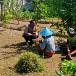 Dukung Swasembada, Polsek Labuapi Dampingi Petani Karang Bongkot
