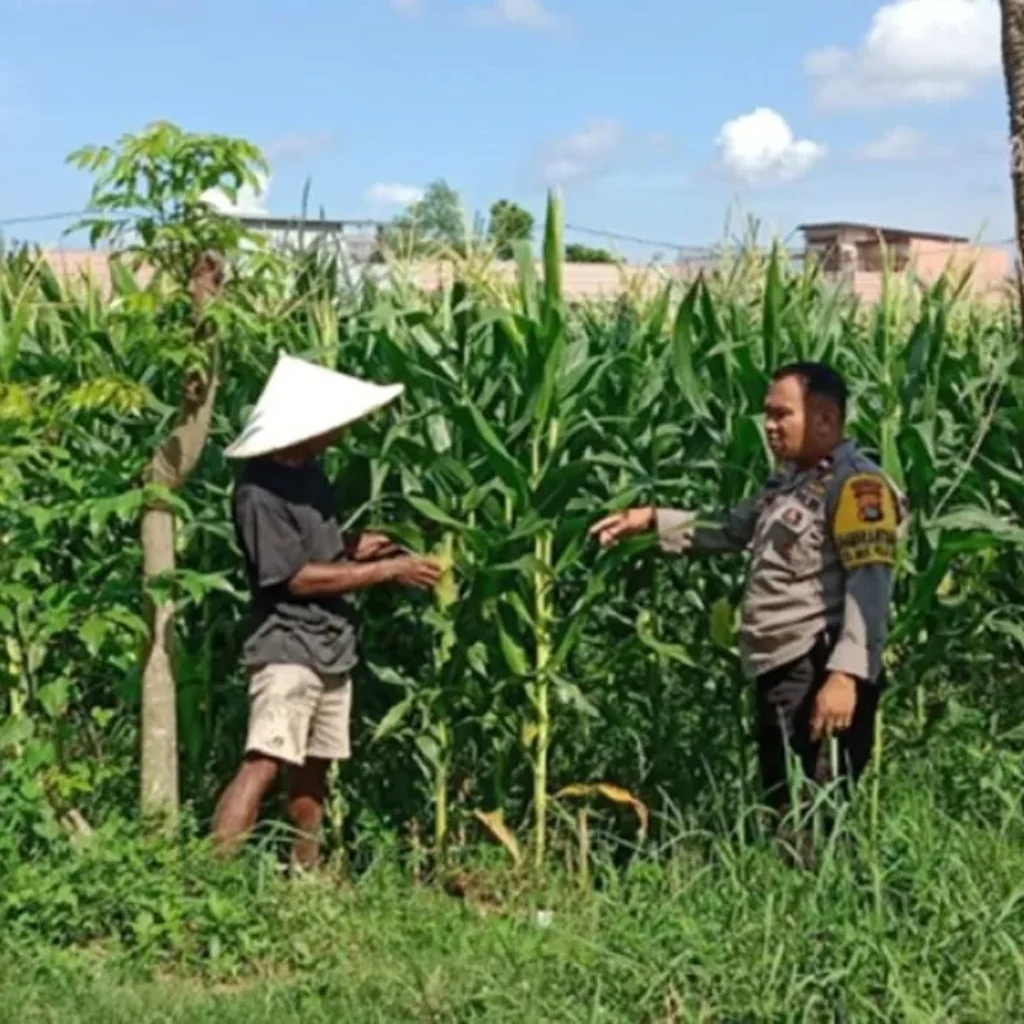 Polri Dampingi Petani Bagik Polak Barat Perkuat Ketahanan Pangan