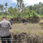 Kapolsek Wanasaba Cek Lokasi Penanaman Jagung, Ajak Warga Dukung Ketahanan Pangan
