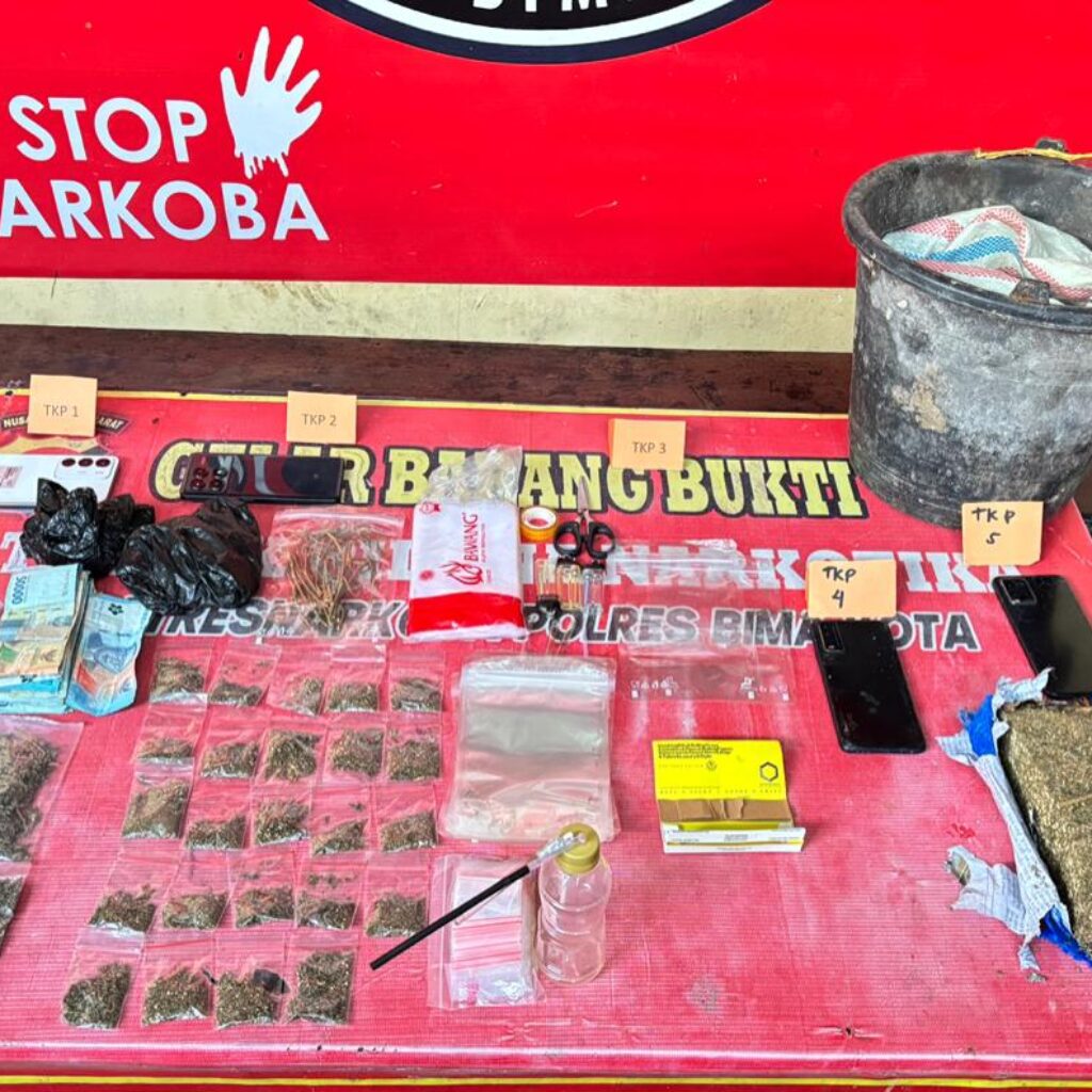 Polres Bima Kota Ungkap Peredaran Ganja 526,42 Gram, Lima Pengedar Diamankan