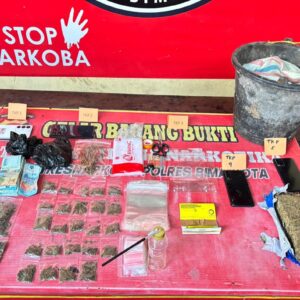 Polres Bima Kota Ungkap Peredaran Ganja 526,42 Gram, Lima Pengedar Diamankan