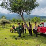 Sinergi Tiga Pilar, Cegah Pembalakan dan Perburuan Liar, Polsek Tambora Menggelar Patroli Gabungan di TN Tambora