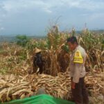 Melalui Silaturahmi, Bhabinkamtibmas Taropo Perkuat Sinergi Polri dan Masyarakat