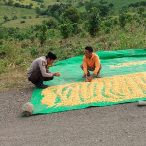Bhabinkamtibmas Desa Serakapi Sambangi Petani Jagung, Ajak Warga Jaga Kamtibmas dan Teliti Saat Penimbangan Hasil Panen