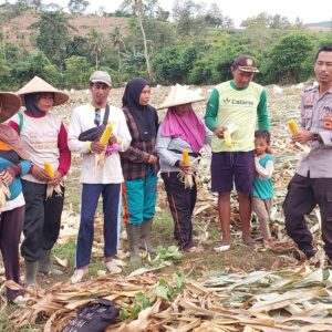 Dukung Ketahanan Pangan Nasional, Bhabinkamtibmas Desa Ta’a Pantau Lahan Jagung Warga di Kecamatan Kempo