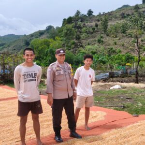 Bhabinkamtibmas Desa Kramat Pantau Hasil Panen Jagung Warga, Dukung Program Ketahanan Pangan Nasional