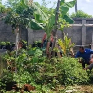 Polres Lombok Barat Perkuat Ketahanan Pangan di Desa Giri Tembesi