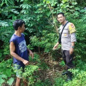 Polsek Labuapi Perkuat Ketahanan Pangan di Desa Bengkel
