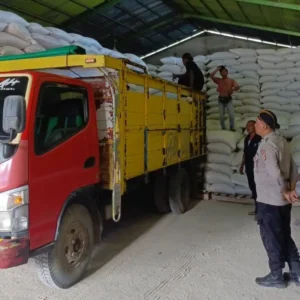 Optimalisasi Serapan Jagung, Polsek Lembar Dampingi Petani Distribusikan Hasil Panen ke Bulog